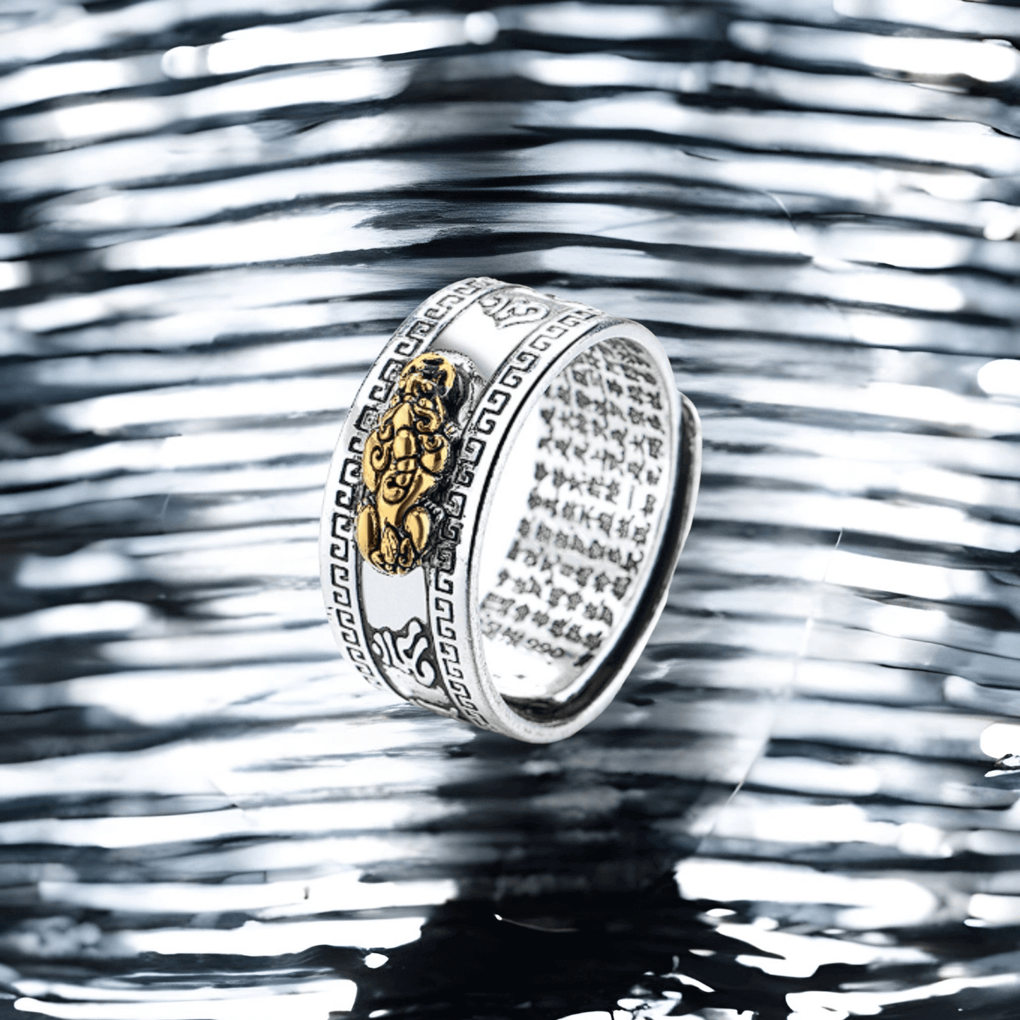 Anillo feng shui Ajustable 2x1 Hoy