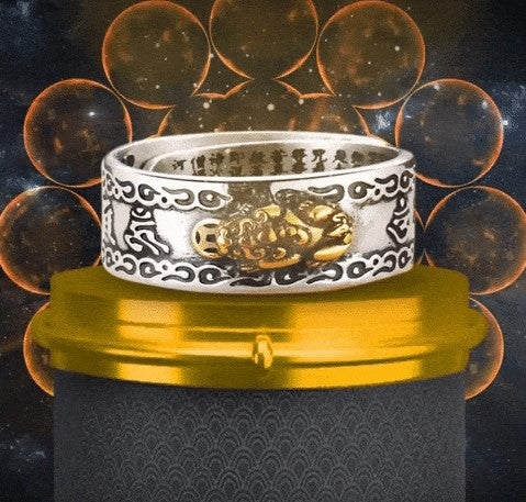 Anillo feng shui Ajustable 2x1 Hoy