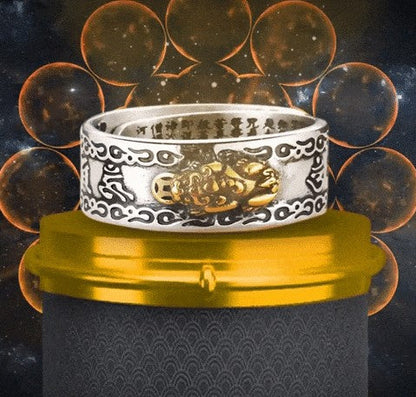 Anillo feng shui Ajustable 2x1 Hoy