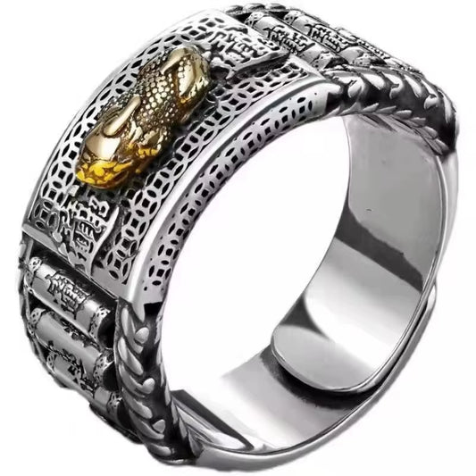 ANILLO FENG SHUI BAÑADO EN PLATA DE ACERO INOX