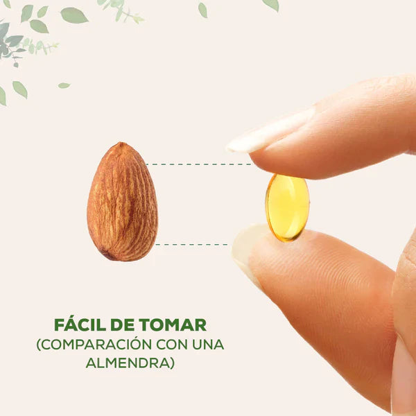 Cápsulas Naturales de Aceite de Orégano + Semilla Negra 180 capsulas
