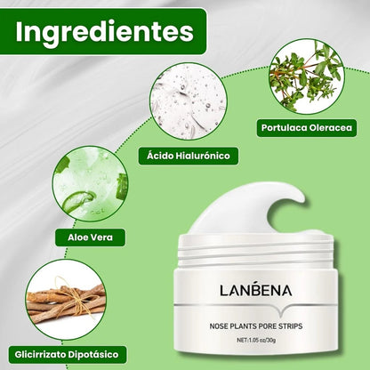Mascarilla avanzada para puntos negros "LANBENA"